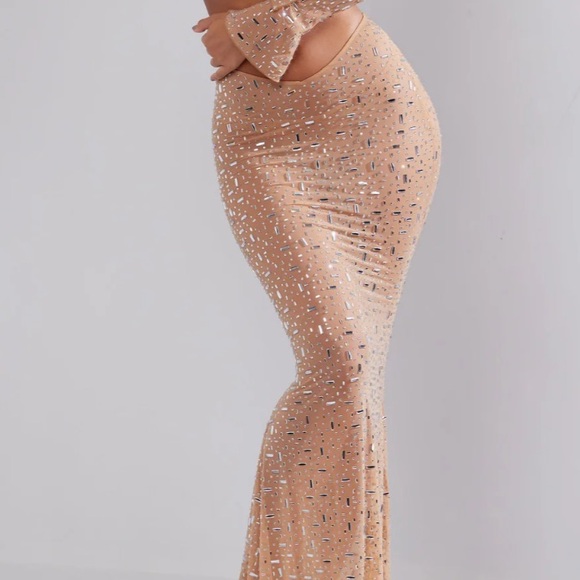 Oh Polly Dresses & Skirts - Chiara Sheer Embellished V-Waist Gown Skirt in Almond